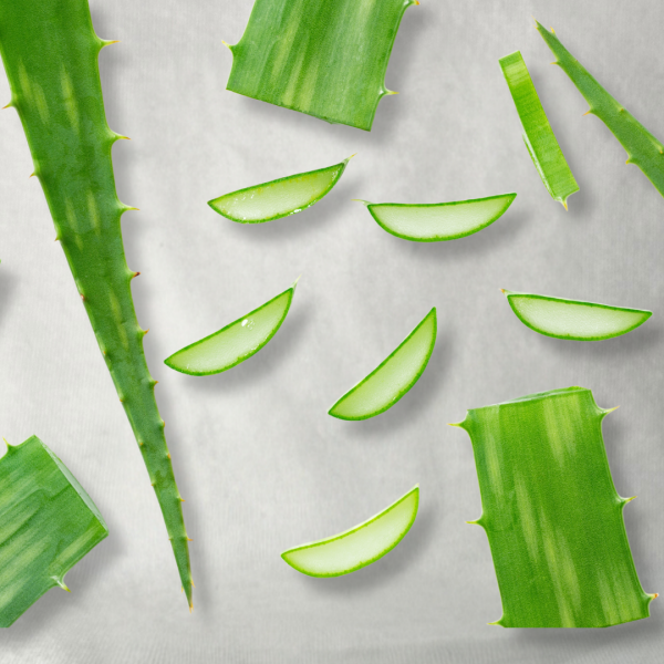 Savon Aloe Vera – Image 2