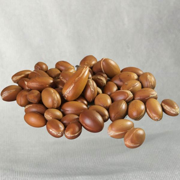 Savon Argan – Image 2