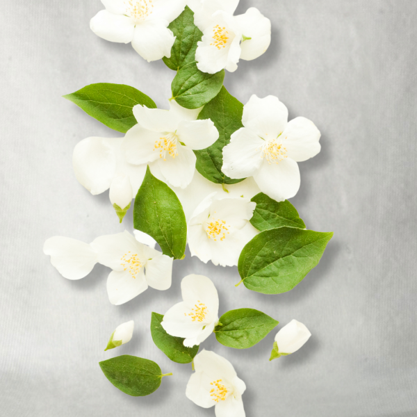 Savon Jasmin – Image 2