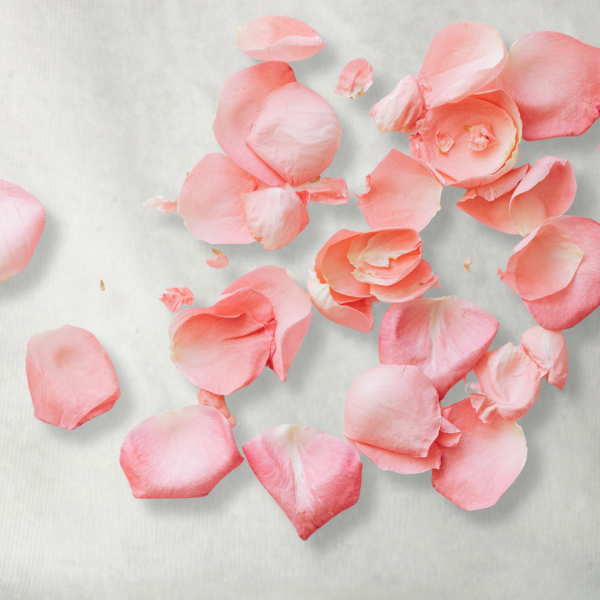 Savon Rose – Image 2